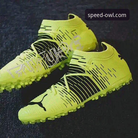 猫头鹰体育和哪个好 猫头鹰体育和哪个好?实战派深度对比与选择指南